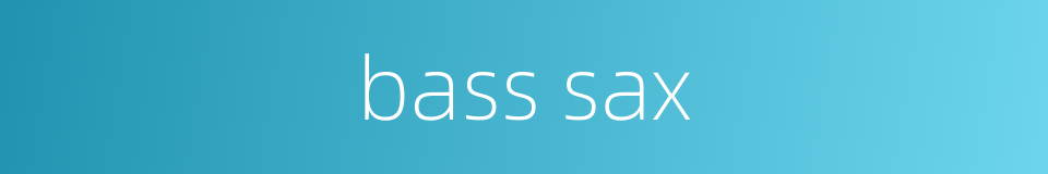 bass sax的同义词