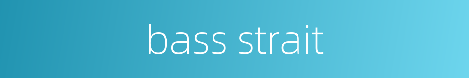bass strait的同义词