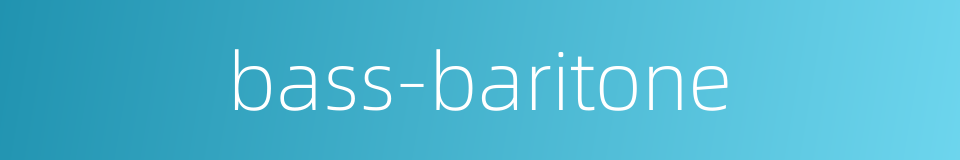 bass-baritone的同义词