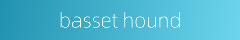 basset hound的同义词