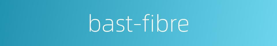 bast-fibre的同义词