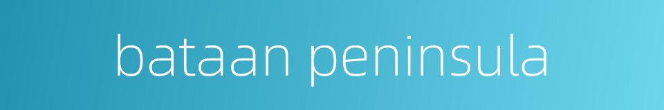 bataan peninsula的同义词