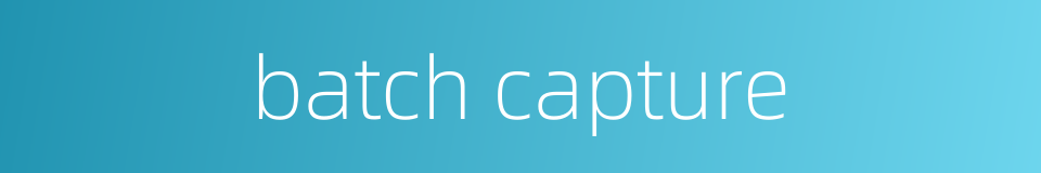 batch capture的同义词