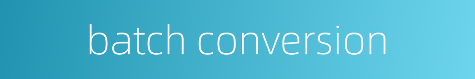 batch conversion的同义词