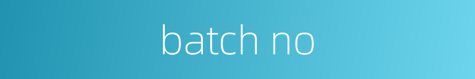 batch no的同义词