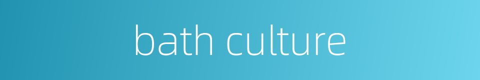 bath culture的同义词