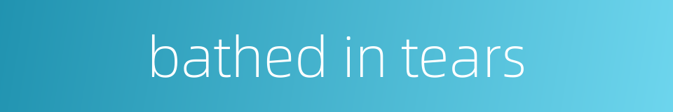 bathed in tears的同义词