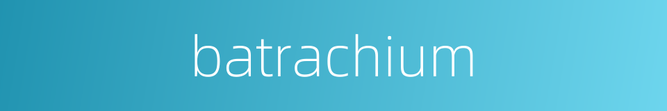 batrachium的同义词