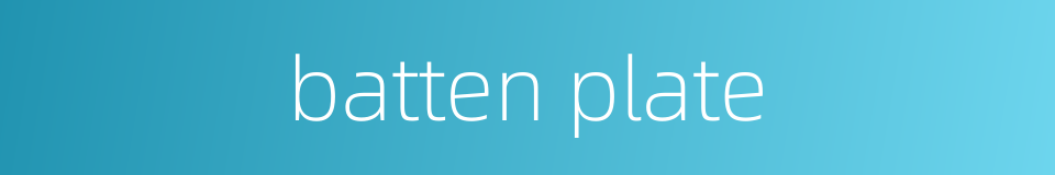 batten plate的同义词