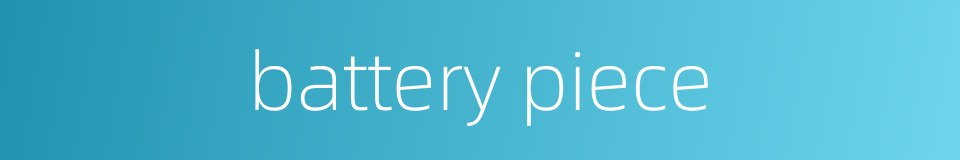 battery piece的同义词