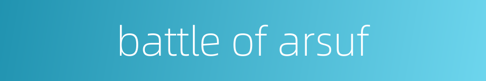 battle of arsuf的同义词
