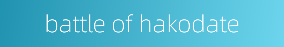 battle of hakodate的同义词