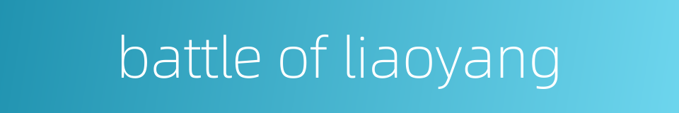 battle of liaoyang的同义词