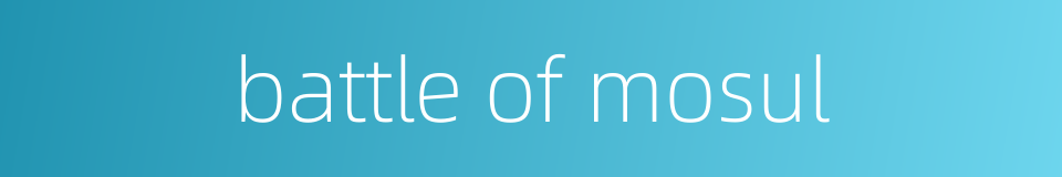battle of mosul的同义词