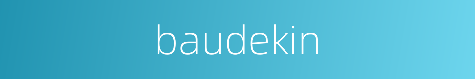 baudekin的同义词