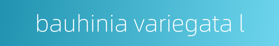bauhinia variegata l的同义词