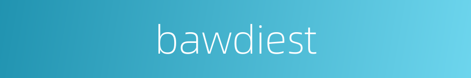 bawdiest的同义词