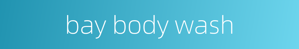 bay body wash的同义词