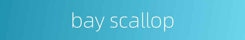 bay scallop的同义词