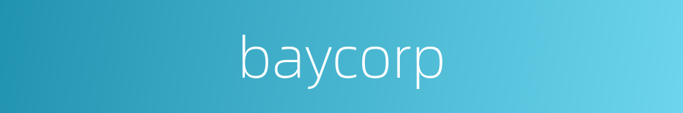 baycorp的同义词