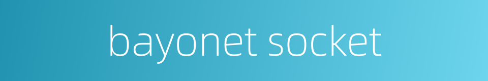 bayonet socket的同义词