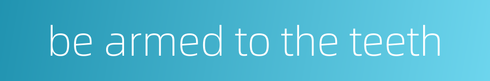be armed to the teeth的同义词