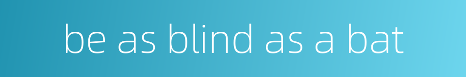 be as blind as a bat的同义词