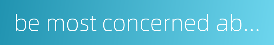 be most concerned about的同义词