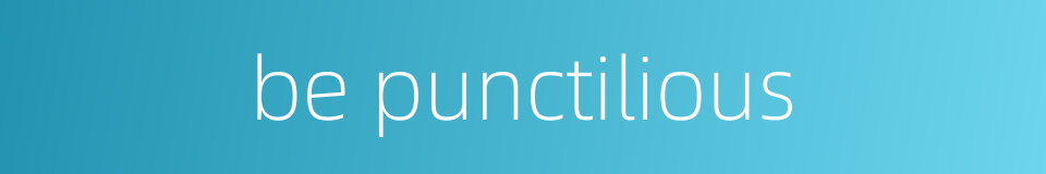 be punctilious的同义词