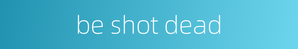 be shot dead的同义词