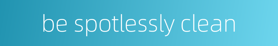 be spotlessly clean的同义词