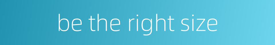 be the right size的同义词