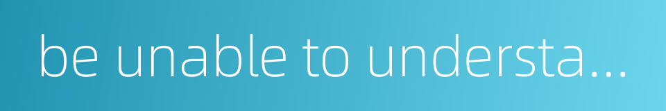 be unable to understand what it is all about的同义词