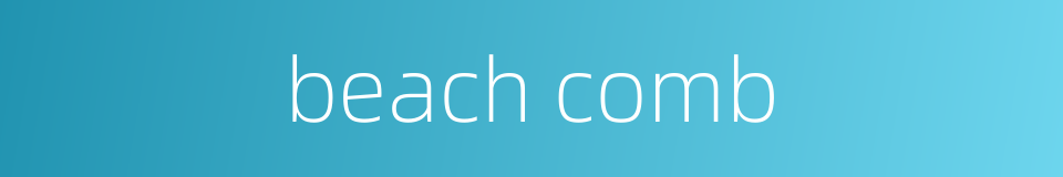 beach comb的同义词