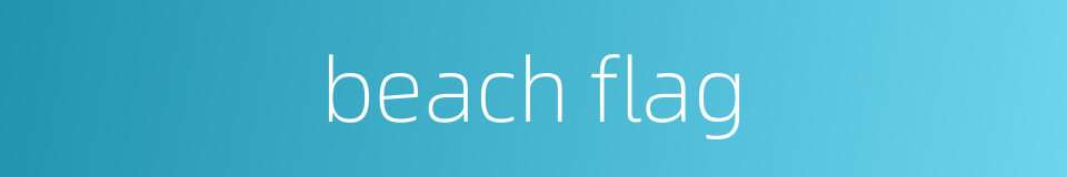 beach flag的同义词