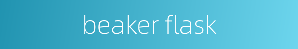 beaker flask的同义词