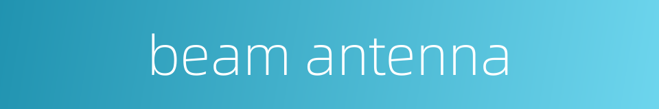 beam antenna的同义词