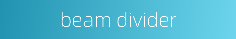 beam divider的同义词