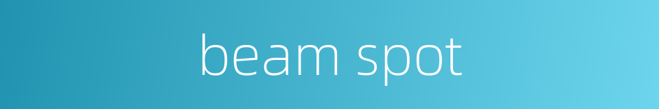 beam spot的同义词