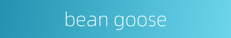 bean goose的同义词