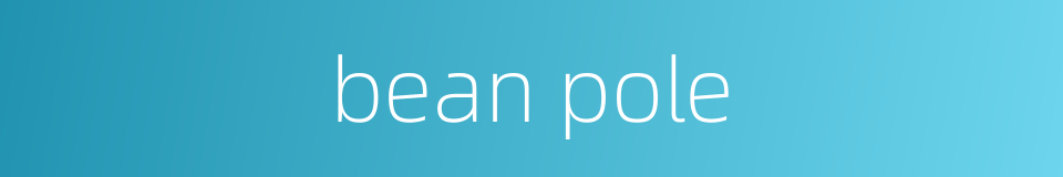bean pole的同义词