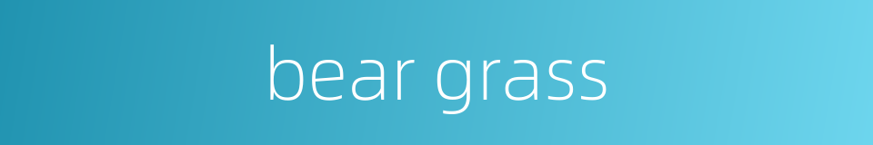 bear grass的同义词