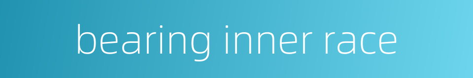 bearing inner race的同义词