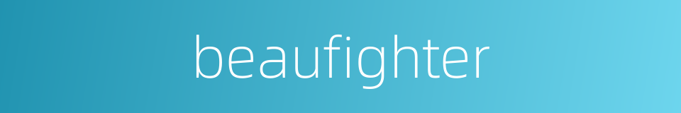 beaufighter的同义词
