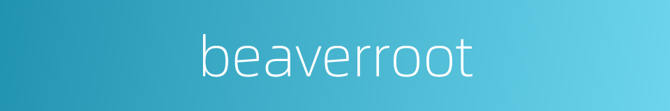 beaverroot的同义词