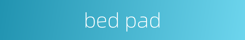 bed pad的同义词