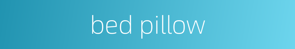 bed pillow的同义词