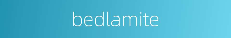 bedlamite的同义词