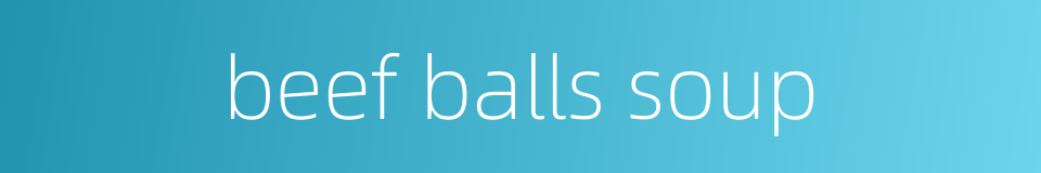 beef balls soup的同义词