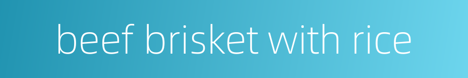 beef brisket with rice的同义词